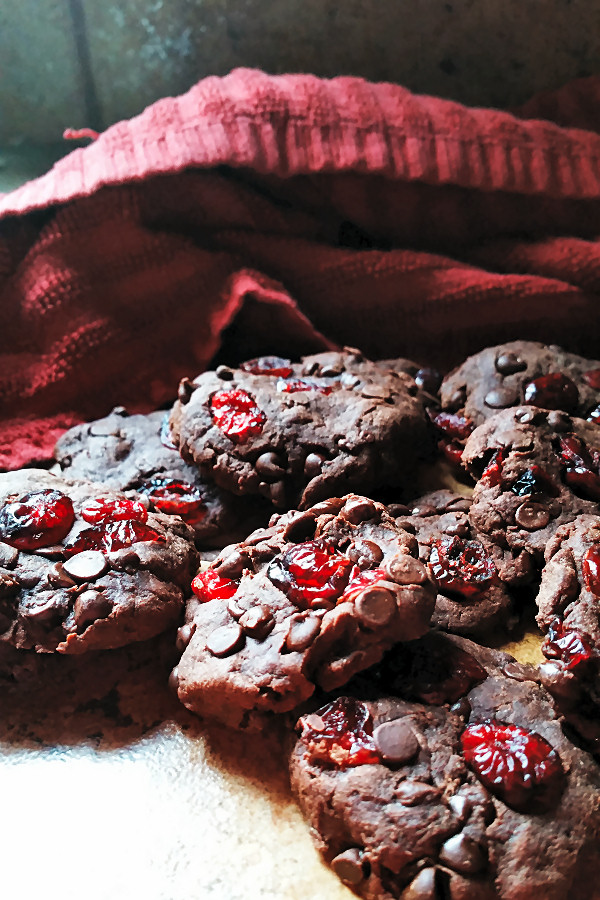 chocolate-cranberry-cookies-3
